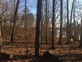 763 Red Oak
