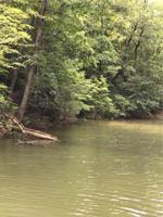 18 Piney Pointe Lane