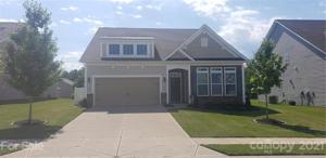 1113 Jack Pine
