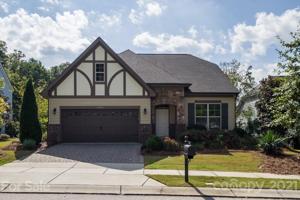 15631 Oleander