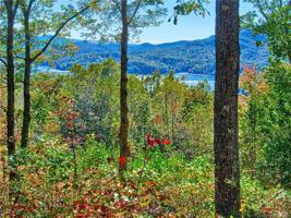 Lot 23 Hawks Nest Trail