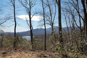 0 Hawks Nest Trail