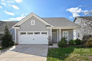 40129 Crooked Stick