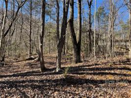 326 Quail Ridge