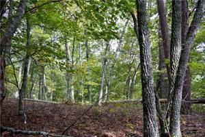 54 Overlook Ridge