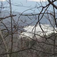 Lot 148 Jergenson Lane