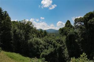 172 Nesbitt Ridge