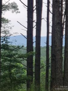 122 Table Rock Trace