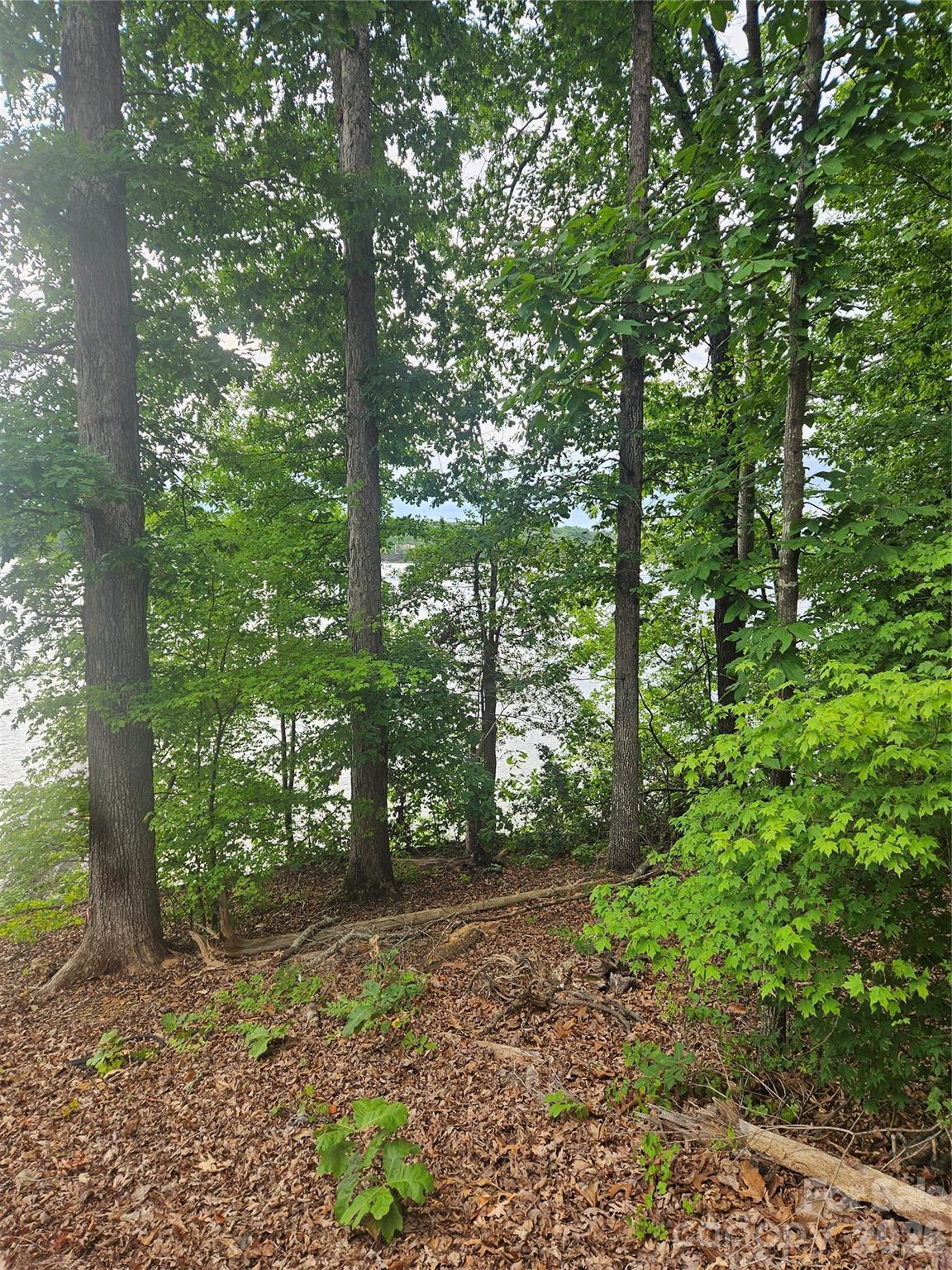 Image 2 Image 2