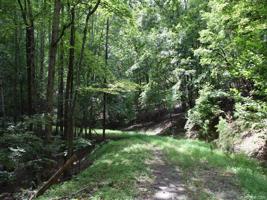 LOT 195 Gooses Way