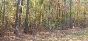 Lot 3 Foxridge