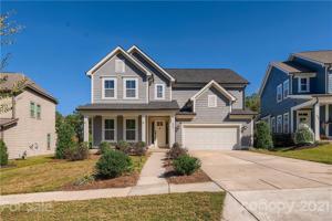 952 Elderberry