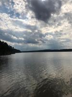 347 Shagbark Court