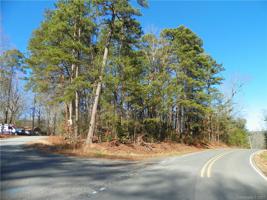 000Pinehaven Dr. Pinehaven Drive