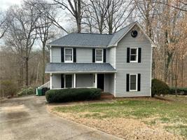331 Treeline