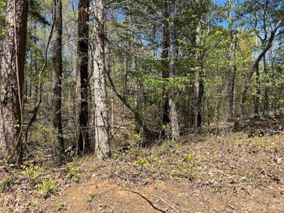 0 Lake Tillery Road