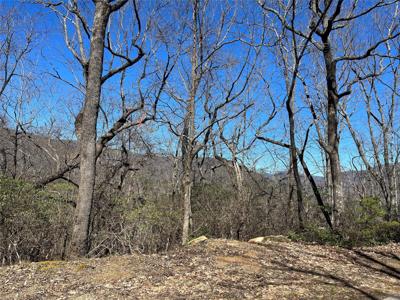 Lot 88 Bolt Road