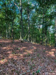 2485 Sierra Trace Road