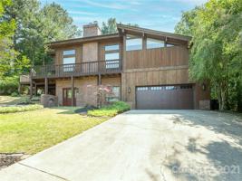 11028 Cattail