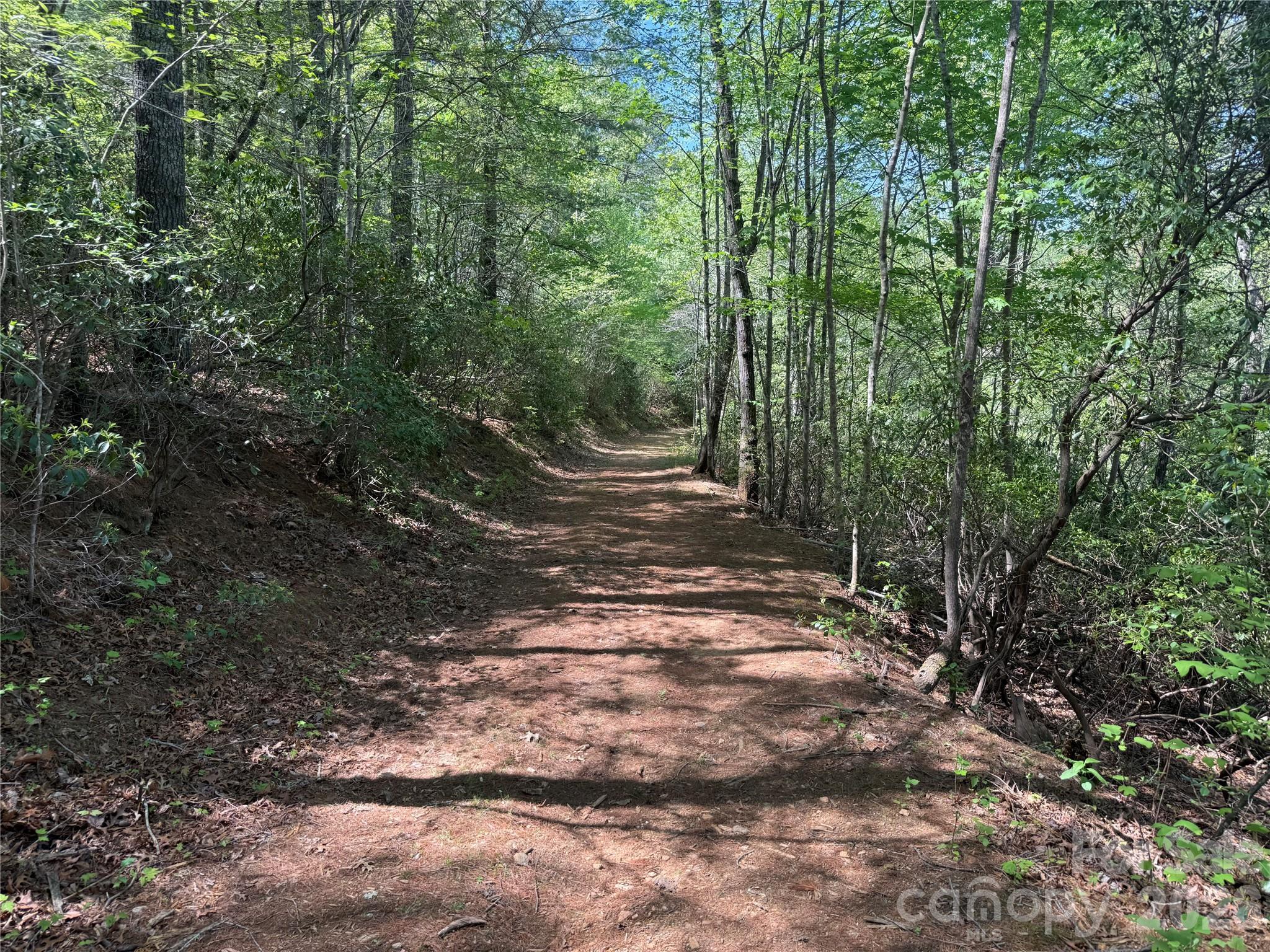 Image 3 Image 3
