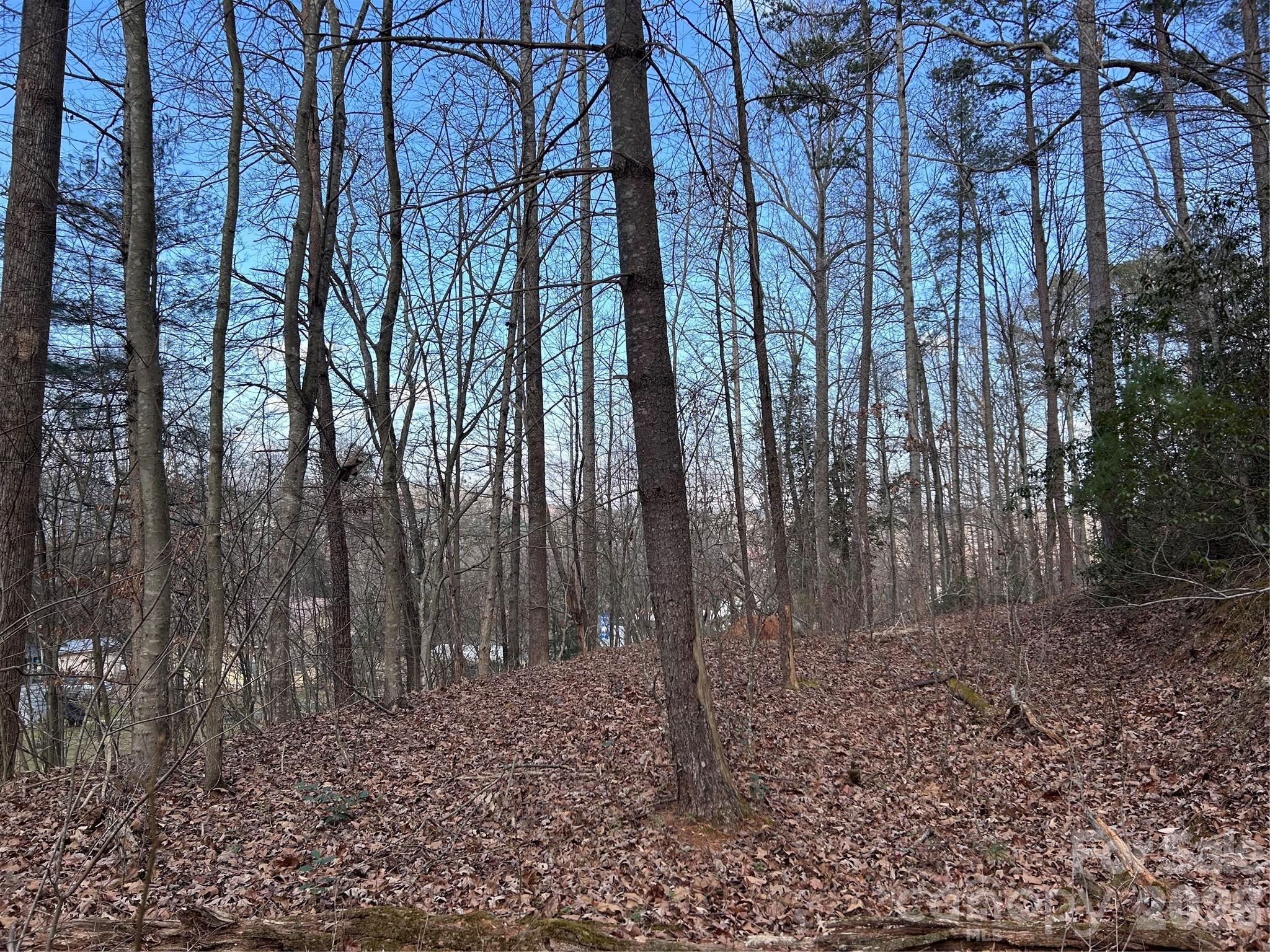 Image 1 Image 1