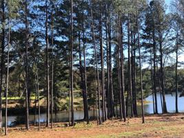 275 Emerald Shores Road