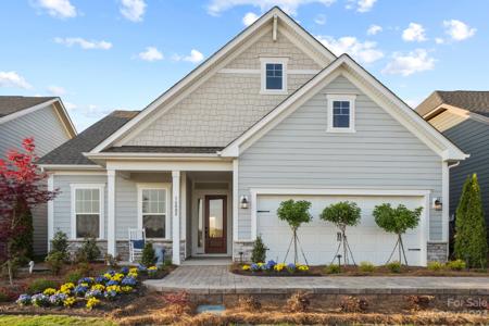16008 Tulloch