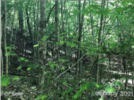 LOT 57 Clear Spring
