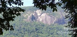 0 Youngs Mountain