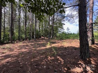 106 Table Rock Trace NW