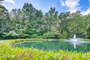 1024 Glade Spring