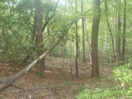 LOT# 354 Hawks Terrace