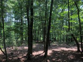 1593 Yellow Fork Trail E