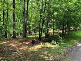 37 Wolf River Lane