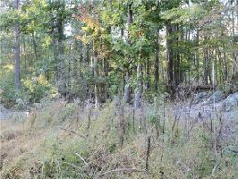 Lot 678 & 679 0 Hollyberry Way 
