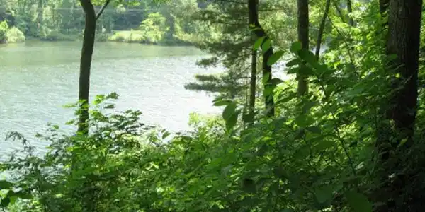 Lot 32 Bella Lago Lane