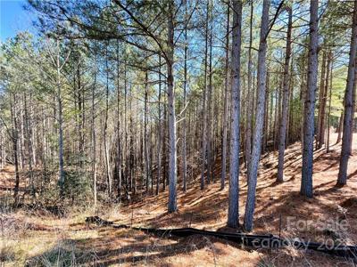 101 Table Rock Trace NW