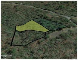 TBD TSVWAGI Court