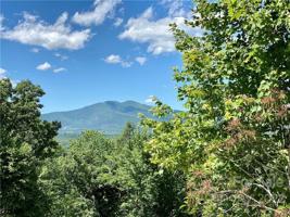 V/L High Trail