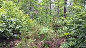 3125 Bear Paw NW