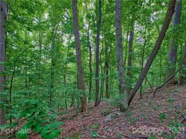 LOT 322 Big Rock