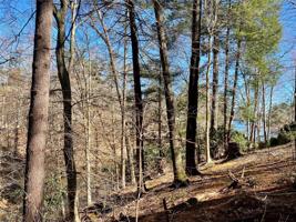 199 Lentz Landing