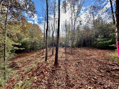 V/L 46 Black Forest Drive
