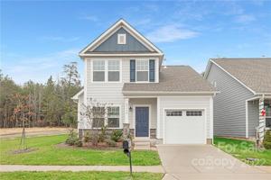 23190 Goose Down