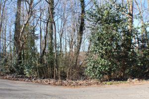 5400 Cold Harbor