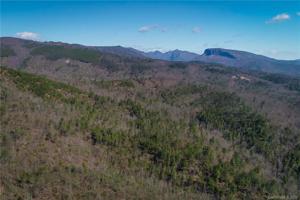 0 Pisgah Preserve