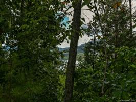 LOT 25 Hawks Nest Trail