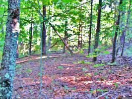 Lot 286-3 Oriole Drive