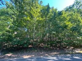 129 Berry Mountain