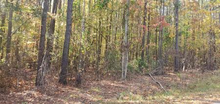 lot 2 Foxridge Road